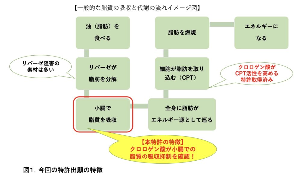 図