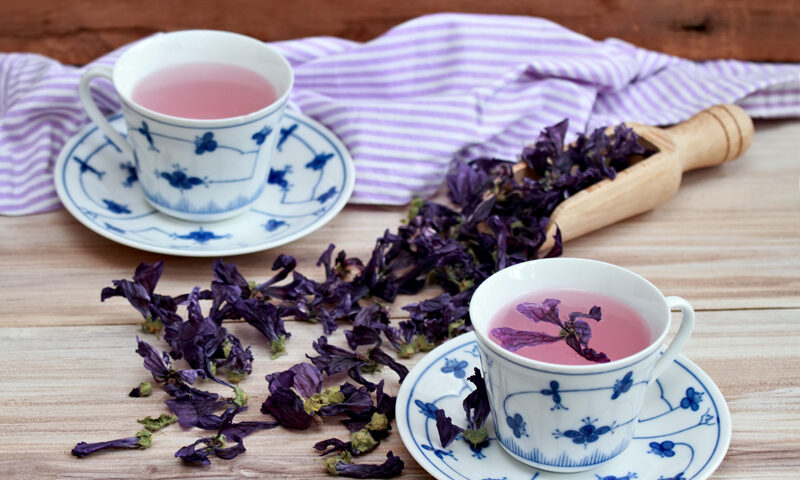紫茶
