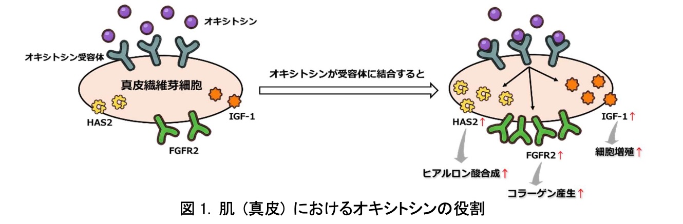 図