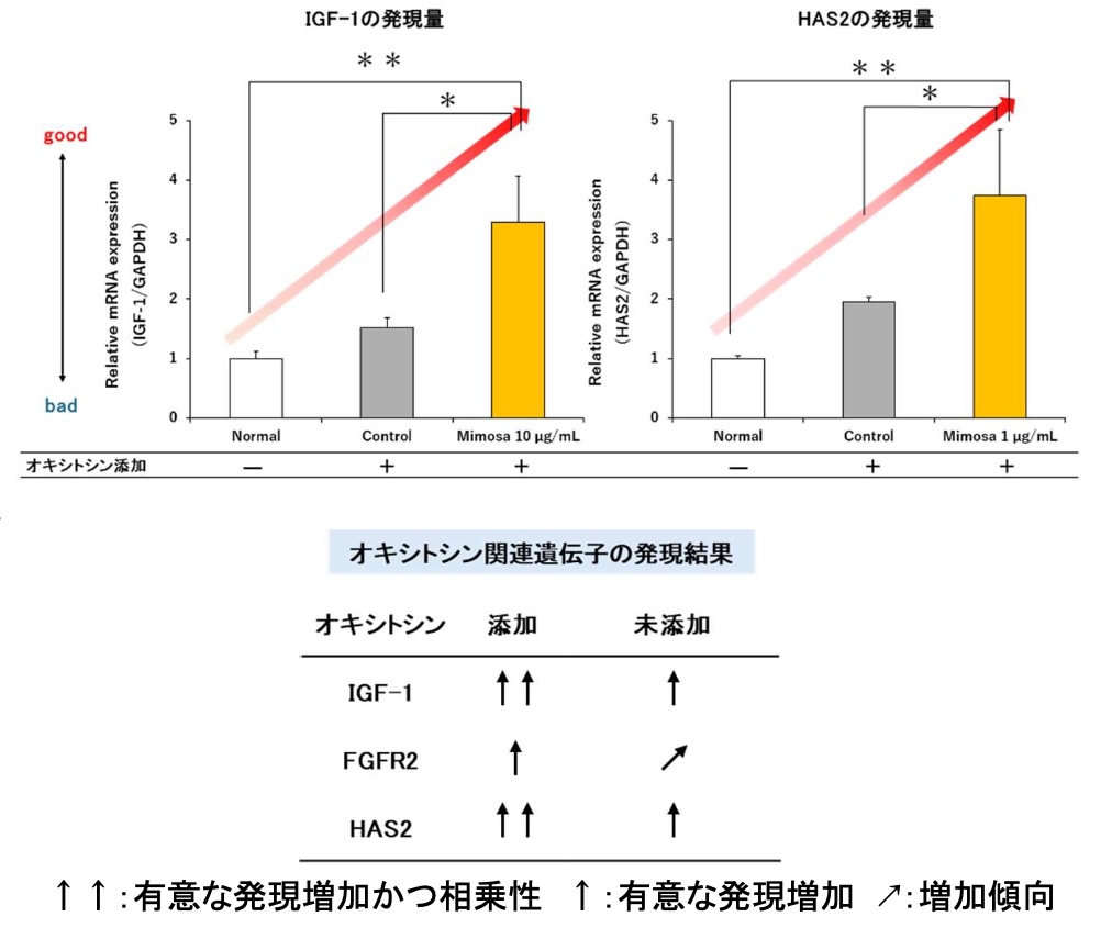 表